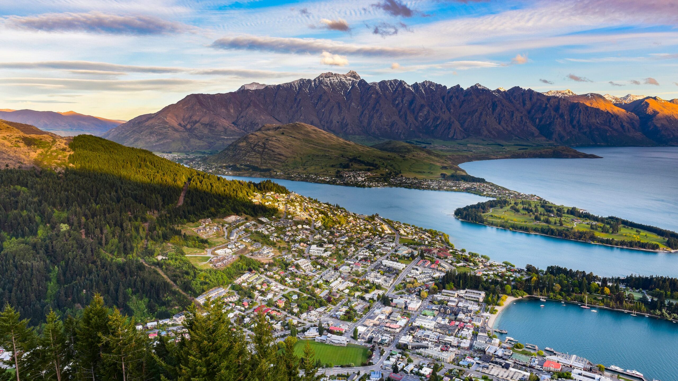 New Zealand Company Incorporation Guide