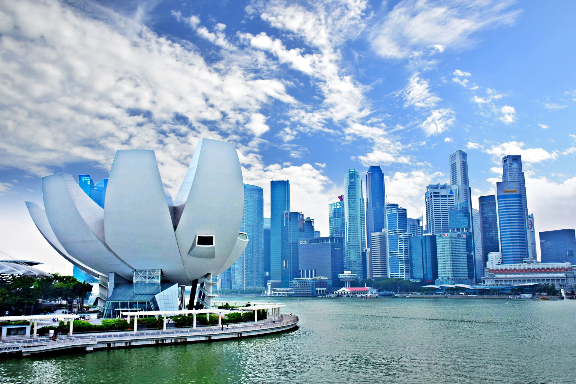 Singapore Global Expansion Playbook