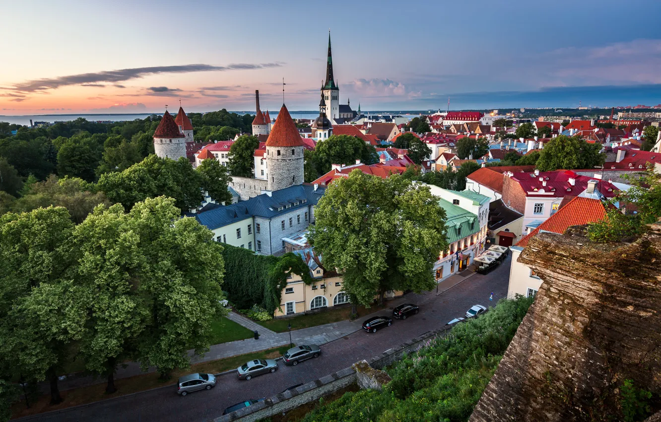 Setting up your business in Estonia: GEOS Guide for Global Expansion