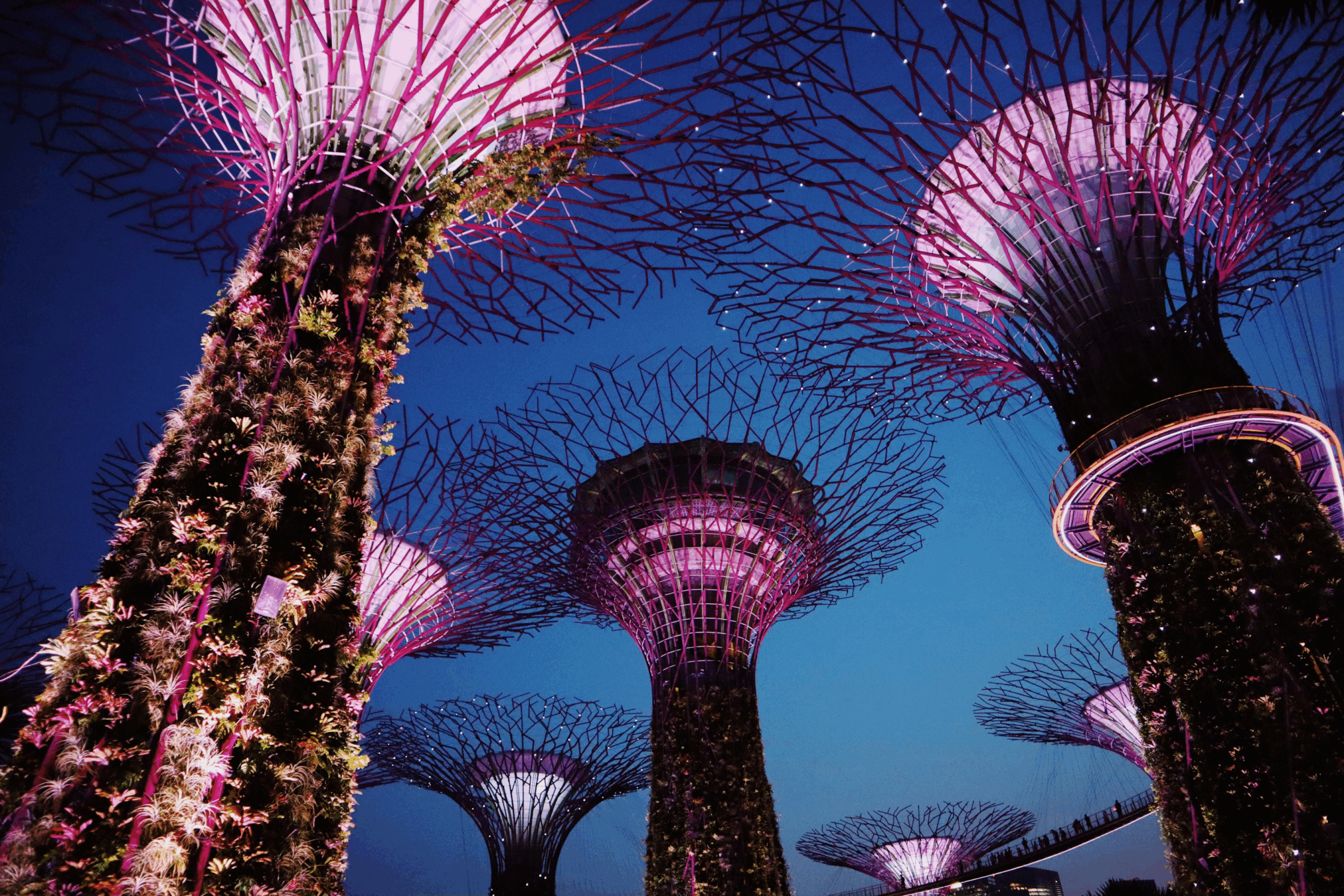 Setting Up Your Business in Singapore: GEOS Guide for Global Expansion