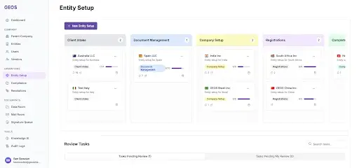Screen capture of a software dashboard titled "Entity Setup" showing a multi-step workflow with cards for setup stages and a "Review Tasks" section below.