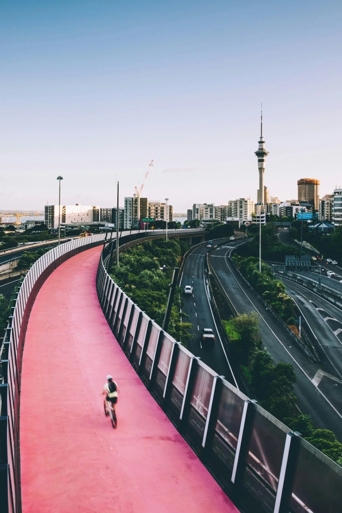 In short, New Zealand offers stability, solid finances, and reliable governance. It faces some short-term hurdles but remains a smart choice for global businesses.